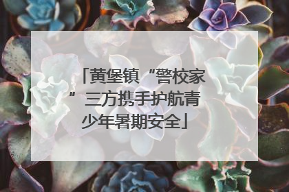 黄堡镇“警校家”三方携手护航青少年暑期安全