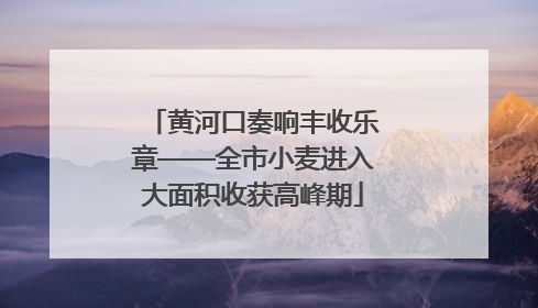 黄河口奏响丰收乐章——全市小麦进入大面积收获高峰期