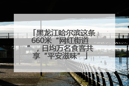 黑龙江哈尔滨这条660米“网红街道”，日均万名食客共享“平安滋味”