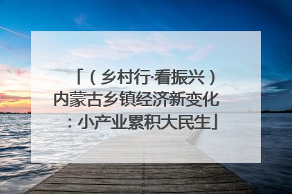 （乡村行·看振兴）内蒙古乡镇经济新变化：小产业累积大民生