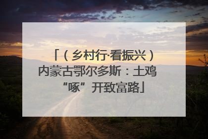 （乡村行·看振兴）内蒙古鄂尔多斯：土鸡“啄”开致富路