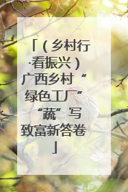 （乡村行·看振兴）广西乡村“绿色工厂” “蔬”写致富新答卷