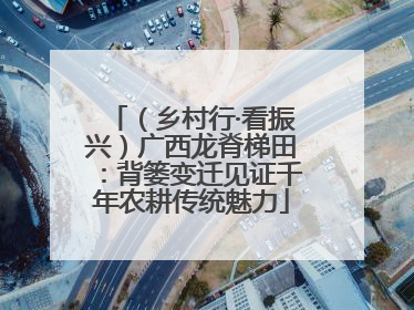 （乡村行·看振兴）广西龙脊梯田：背篓变迁见证千年农耕传统魅力