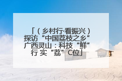 （乡村行·看振兴）探访“中国荔枝之乡”广西灵山：科技“鲜”行 实“荔”C位