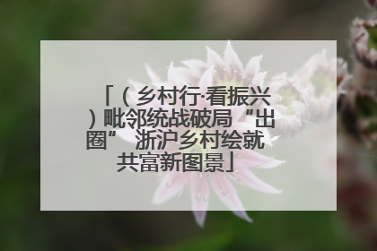 （乡村行·看振兴）毗邻统战破局“出圈” 浙沪乡村绘就共富新图景