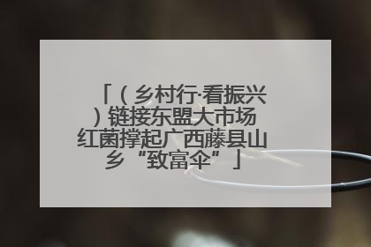 （乡村行·看振兴）链接东盟大市场 红菌撑起广西藤县山乡“致富伞”