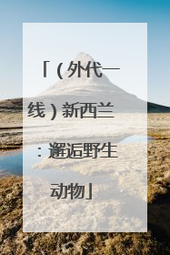 （外代一线）新西兰：邂逅野生动物