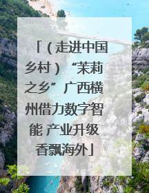 （走进中国乡村）“茉莉之乡”广西横州借力数字智能 产业升级香飘海外