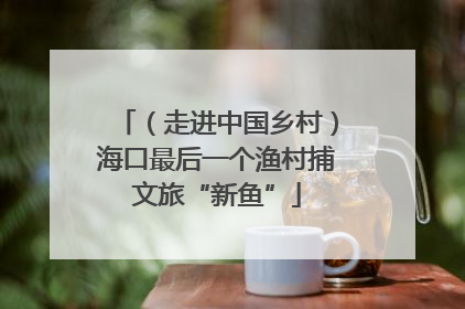 （走进中国乡村）海口最后一个渔村捕文旅“新鱼”