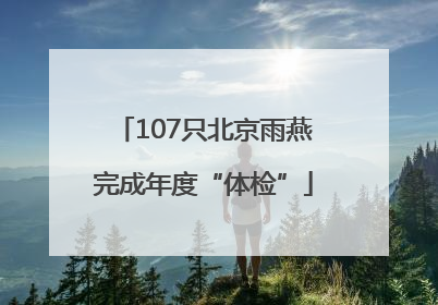 107只北京雨燕完成年度“体检”