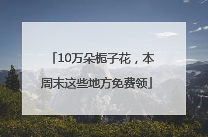 10万朵栀子花，本周末这些地方免费领