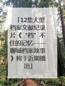 12集大型档案文献纪录片《“档”不住的记忆——聊城档案故事》将于近期播出