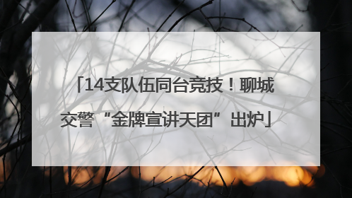 14支队伍同台竞技！聊城交警“金牌宣讲天团”出炉