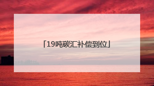 19吨碳汇补偿到位