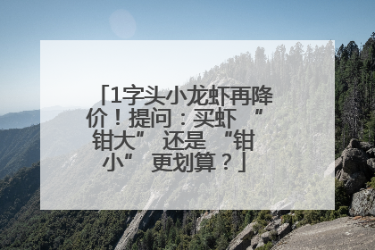 1字头小龙虾再降价！提问：买虾 “钳大” 还是 “钳小” 更划算？