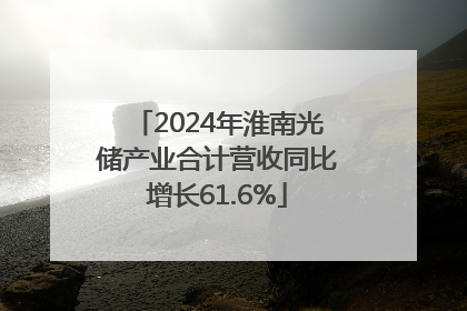 2024年淮南光储产业合计营收同比增长61.6%
