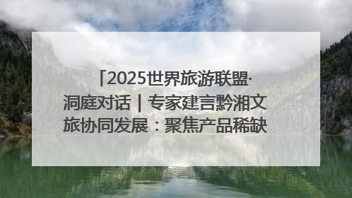 2025世界旅游联盟·洞庭对话｜专家建言黔湘文旅协同发展：聚焦产品稀缺性 深化区域经验共享