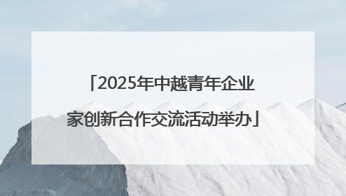 2025年中越青年企业家创新合作交流活动举办