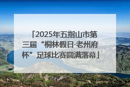 2025年五指山市第三届“桐林假日·老州府杯”足球比赛圆满落幕