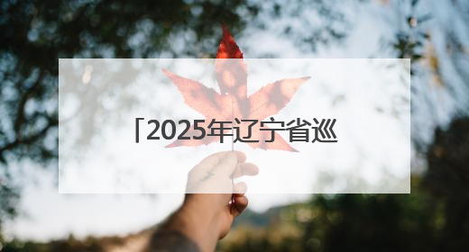2025年辽宁省巡特警系统跨区域实战拉动演练在抚顺举行