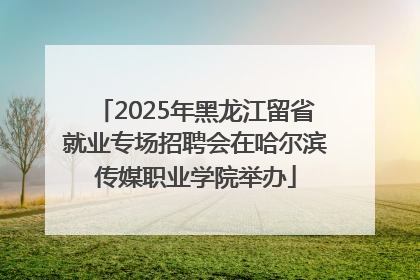 2025年黑龙江留省就业专场招聘会在哈尔滨传媒职业学院举办