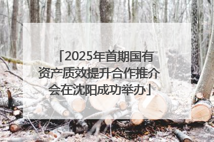 2025年首期国有资产质效提升合作推介会在沈阳成功举办