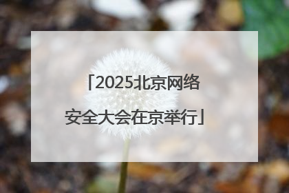 2025北京网络安全大会在京举行