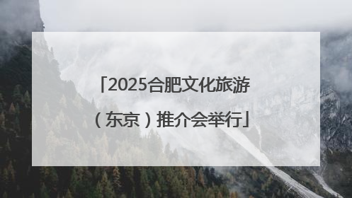 2025合肥文化旅游（东京）推介会举行