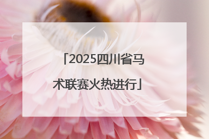 2025四川省马术联赛火热进行