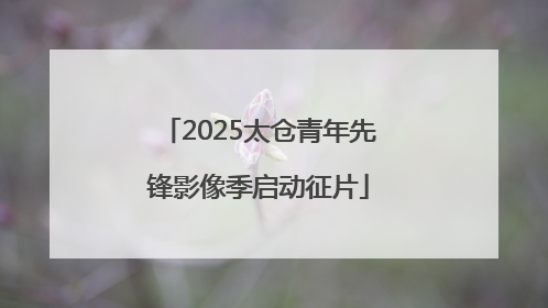 2025太仓青年先锋影像季启动征片