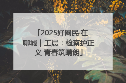 2025好网民·在聊城｜王晨：检察护正义 青春筑晴朗