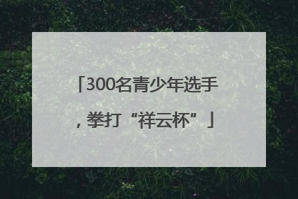 300名青少年选手，拳打“祥云杯”