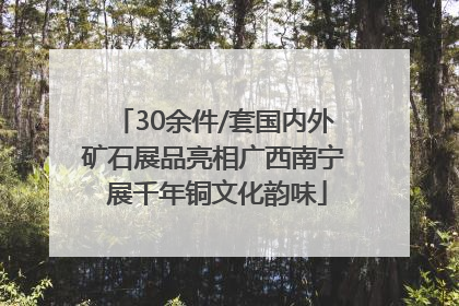 30余件/套国内外矿石展品亮相广西南宁 展千年铜文化韵味