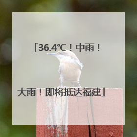 36.4℃！中雨！大雨！即将抵达福建