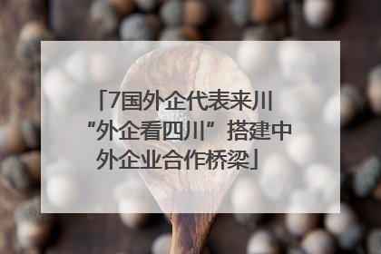 7国外企代表来川 “外企看四川”搭建中外企业合作桥梁