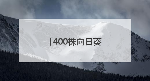 400株向日葵空降武汉校园