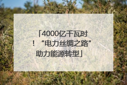 4000亿千瓦时！“电力丝绸之路”助力能源转型
