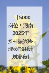 5000岗位！河南2025年乡村振兴协理员招用计划发布