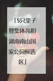 5只果子狸集体亮相湖南南山国家公园候选区