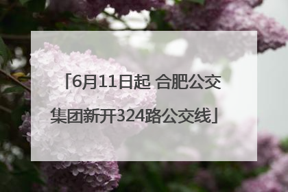 6月11日起 合肥公交集团新开324路公交线