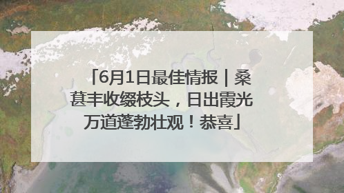 6月1日最佳情报｜桑葚丰收缀枝头，日出霞光万道蓬勃壮观！恭喜