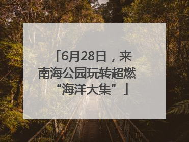 6月28日，来南海公园玩转超燃 “海洋大集”
