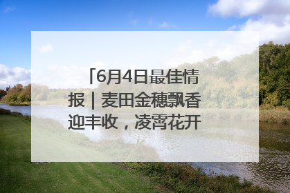 6月4日最佳情报｜麦田金穗飘香迎丰收，凌霄花开娇艳多姿！恭喜