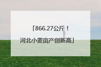 866.27公斤！河北小麦亩产创新高