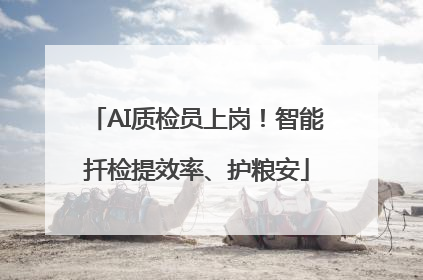 AI质检员上岗！智能扦检提效率、护粮安