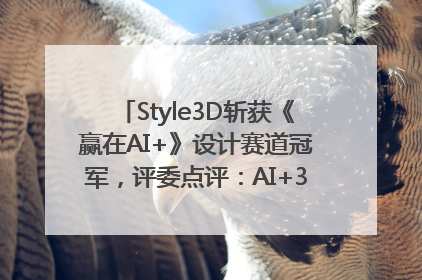 Style3D斩获《赢在AI+》设计赛道冠军，评委点评：AI+3D技术世界第一